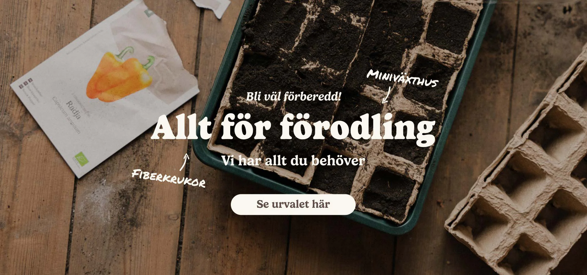 Ekologiska fröer för alla hem